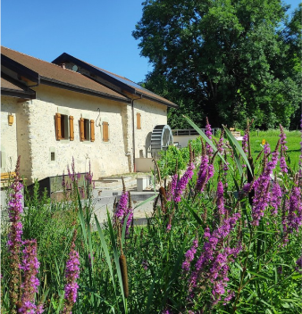Moulin De Carra
